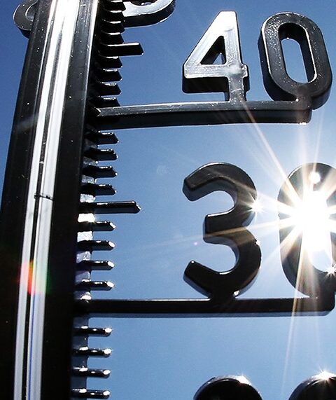 Жара до 39°C ожидается в Молдове на выходных