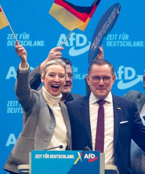 43% немцев ожидают победы АдН на выборах 2029 года