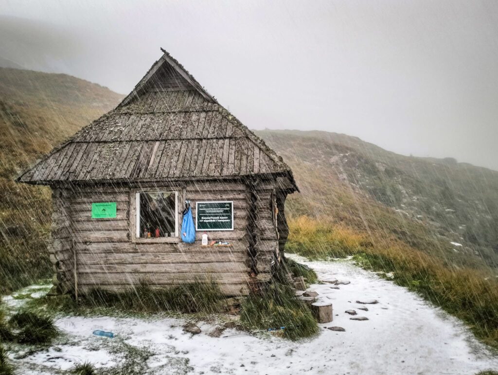 Активист Promo-LEX подвергся угрозам со стороны лидера партии «Шанс» в Оргееве