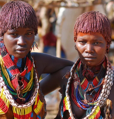 Ботсвана вводит чрезвычайное положение в здравоохранении из-за нехватки медикаментов