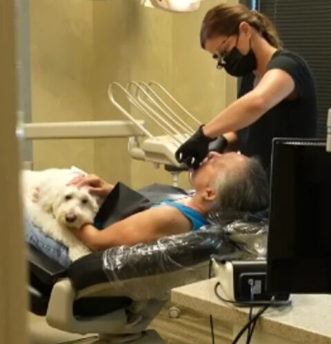 Собака Чай помогает пациентам стоматологии преодолевать страх во время процедур