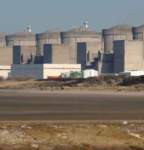 Французская атомная электростанция Gravelines экстренно остановила четыре реактора из-за медуз