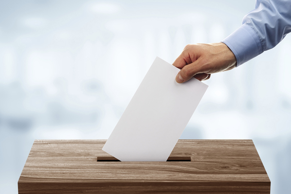 Для голосования граждан Молдовы за границей откроется 301 избирательный участок