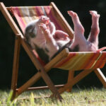 Дубоссарское водохранилище и пруд в Гырбовце получили статус водных ресурсов особого значения