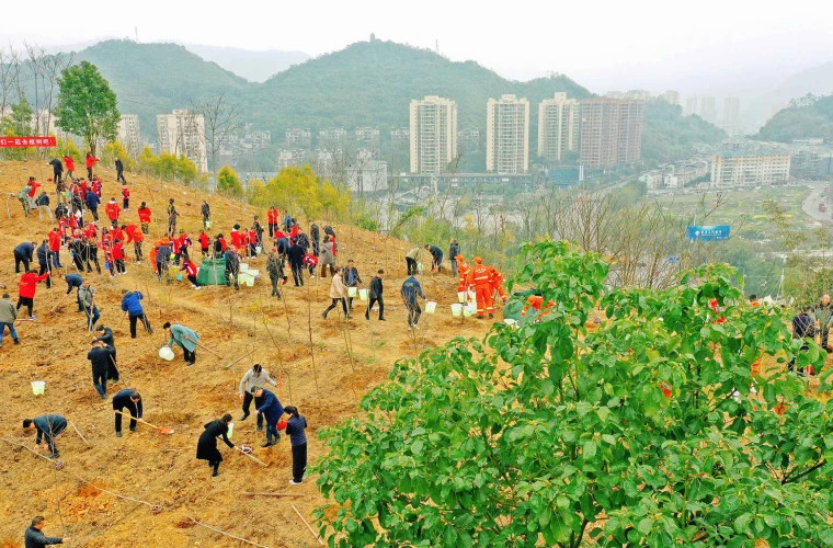 Экологическая политика Китая получает высокую поддержку на международном уровне, показывают данные опроса
