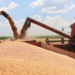 Фермеры могут перевозить сельхозпродукцию без ограничений в жаркие дни