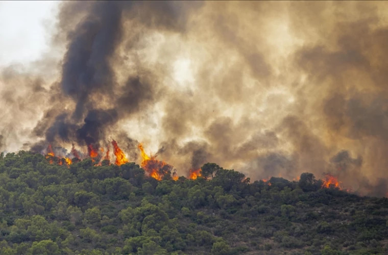 Франция пытается контролировать крупнейший лесной пожар года в Южном регионе
