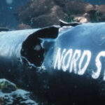 Германия завершила расследование подрыва "Северных потоков" и установила граждан Украины как подозреваемых