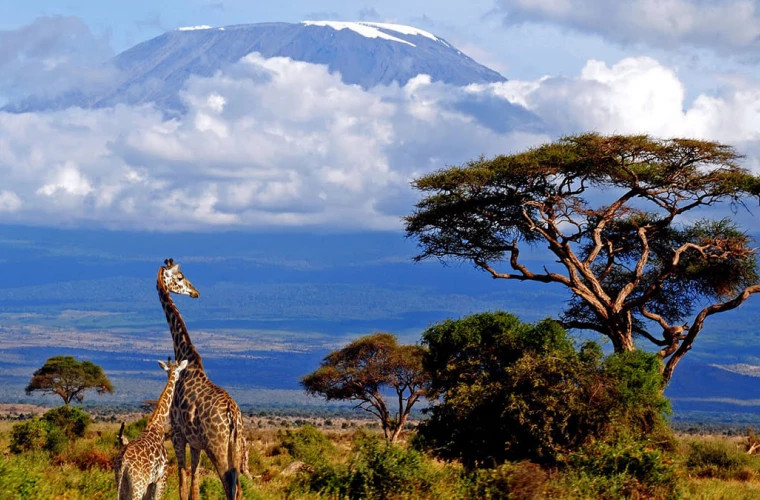 Глава ООН призывает Африку активнее участвовать в принятии решений о своем будущем