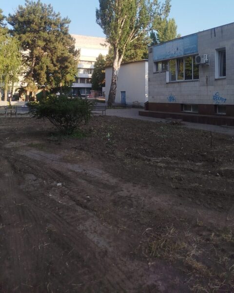 Инспекторат защиты окружающей среды начал расследование незаконной вырубки сада в Кишиневе