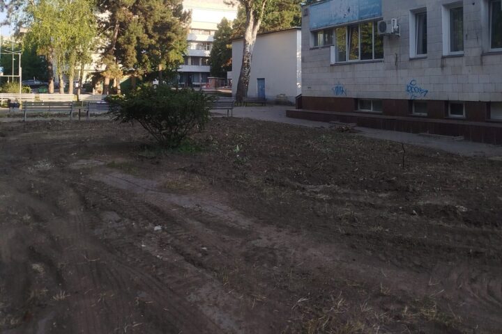 Инспекторат защиты окружающей среды начал расследование незаконной вырубки сада в Кишиневе