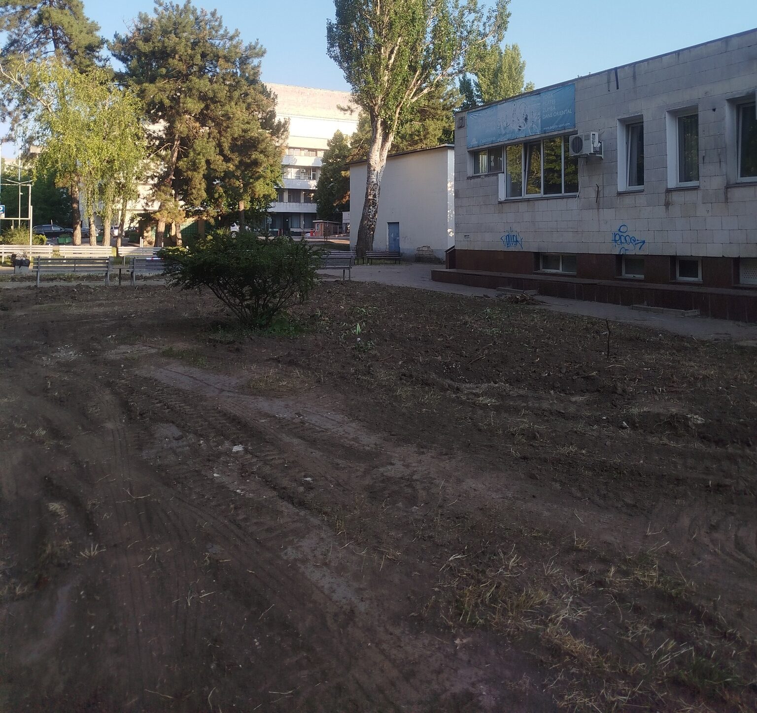 Инспекторат защиты окружающей среды начал расследование незаконной вырубки сада в Кишиневе