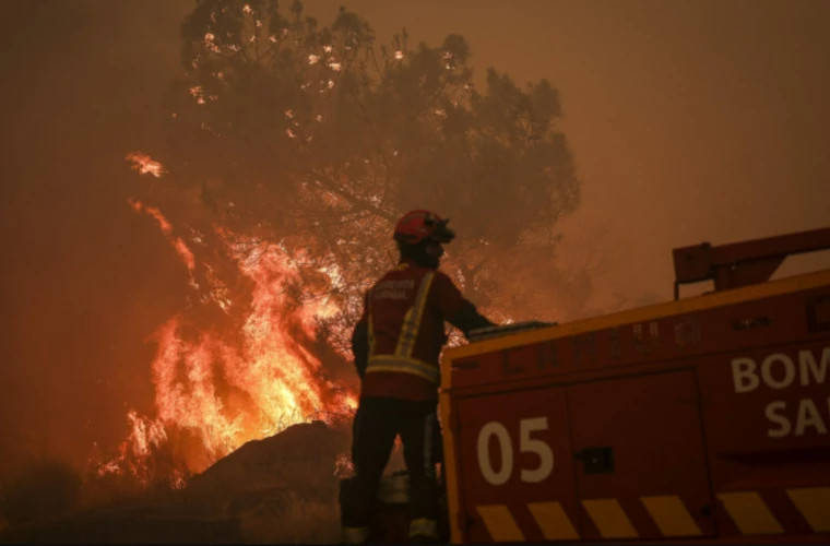 Лиссабон обращается за помощью к Европе из-за масштабных лесных пожаров