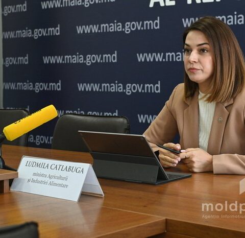 Министерство сельского хозяйства анонсировало новые меры субсидирования и поддержку фермеров на 2025 год