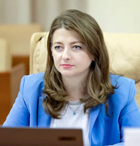 Министр юстиции объяснила порядок экстрадиции Владимира Плахотнюка в Молдову