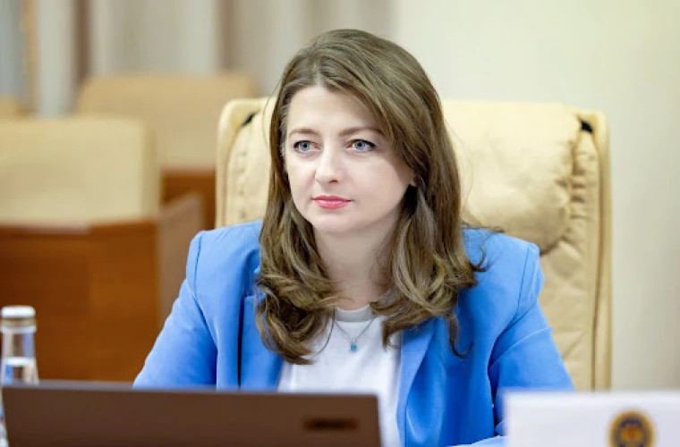 Министр юстиции объяснила порядок экстрадиции Владимира Плахотнюка в Молдову