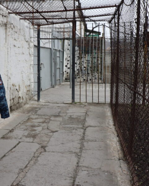 Минюст предлагает заблокировать мобильную связь и интернет в тюрьмах, что может затронуть соседние районы