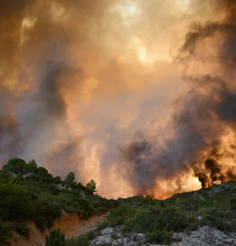 На юге Франции потушен крупнейший за последние 76 лет лесной пожар