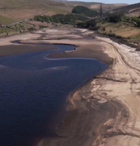 Нехватка воды в Англии признана проблемой государственного значения из-за засухи