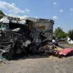 Незаконная вырубка сада в Кишиневе: власти начали расследование после обращения активистов