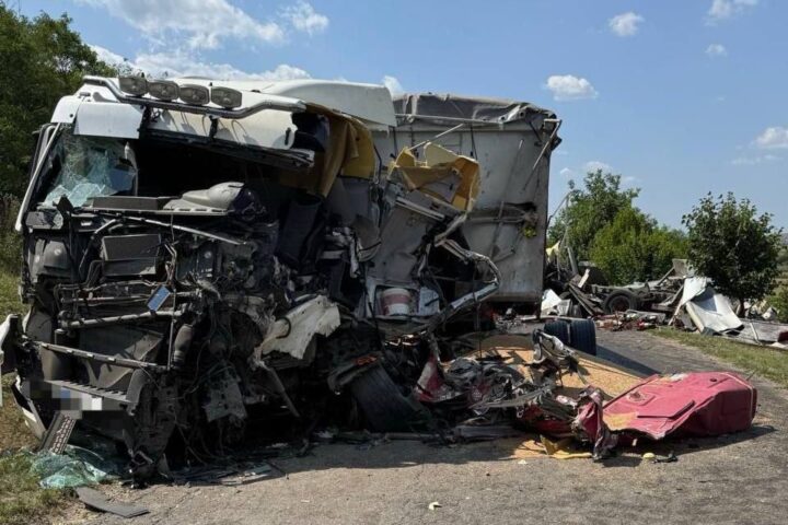 Незаконная вырубка сада в Кишиневе: власти начали расследование после обращения активистов