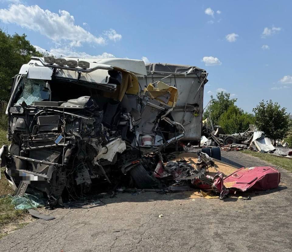 Незаконная вырубка сада в Кишиневе: власти начали расследование после обращения активистов