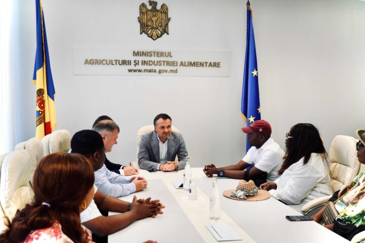 Нигерия становится крупнейшим африканским рынком для молдавских вин