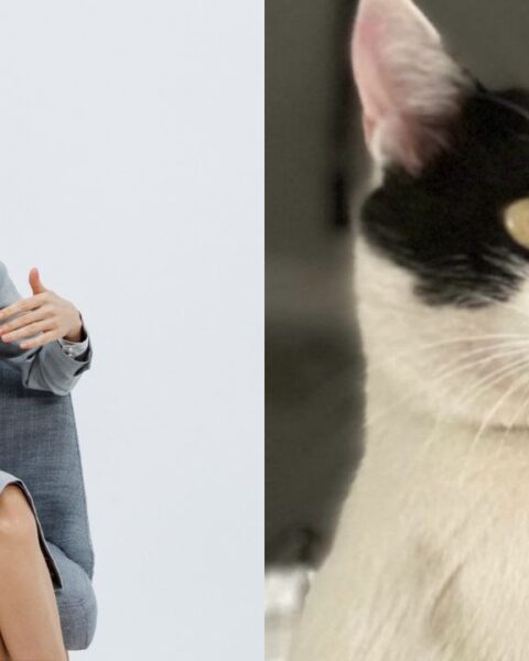 Президент Молдовы Майя Санду присоединилась к «кошачьему тренду» в соцсетях из-за заявления Александра Стояногло