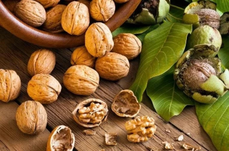 Раскрыты удивительные преимущества грецких орехов!