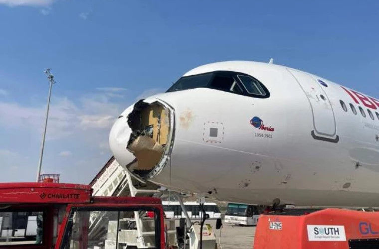 Самолет Iberia совершил аварийную посадку в Мадриде после столкновения с птицей