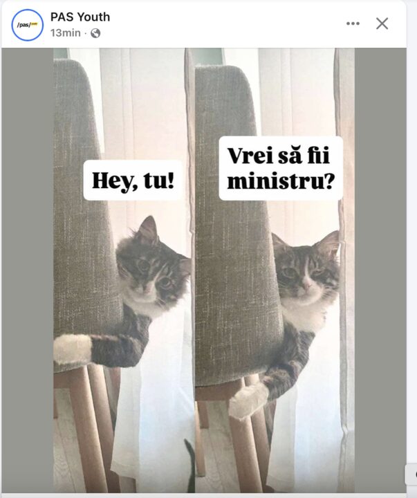 Стояногло утверждает, что у министра образования в кабинете 13 кошек, Перчун опроверг информацию