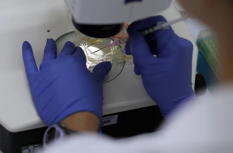 Учёные создали йогурт из молока, найденного на дне Ладожского озера