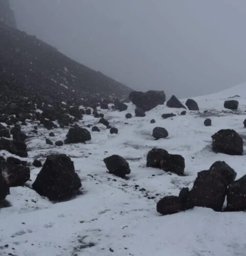 В Антарктиде найдены останки исследователя, пропавшего 66 лет назад