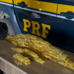 В Бразилии задержали блогершу и её мужа с 103 кг контрабандного золота