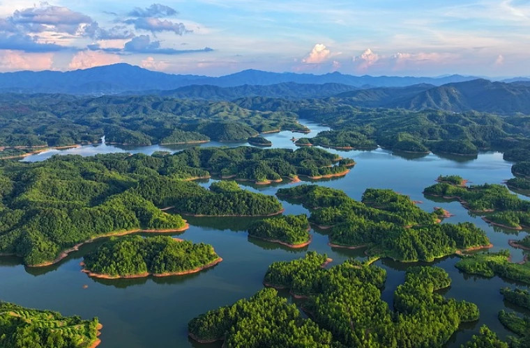 В Китае празднуют 20-летие концепции Си Цзиньпина по улучшению экологии