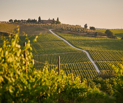 В Молдове создана интерактивная карта охраняемых природных территорий для фермеров и местных властей