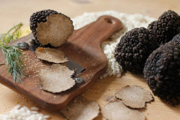 В Румынии собрали пять тонн трюфелей для лучших ресторанов Европы