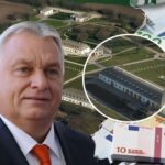 В Венгрии вспыхнул скандал вокруг резиденции Орбана с зебрами и пальмовым садом
