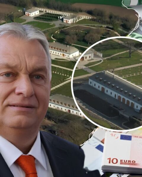 В Венгрии вспыхнул скандал вокруг резиденции Орбана с зебрами и пальмовым садом