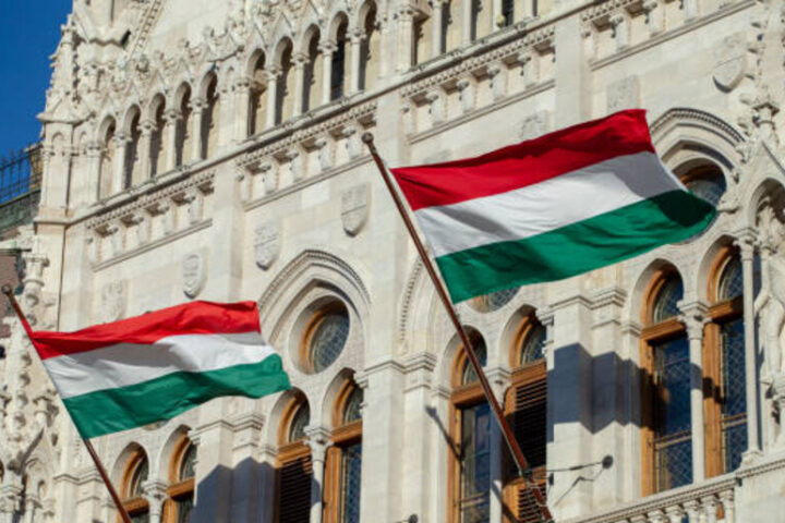 Венгрия избегает осуждения России после удара по Закарпатью