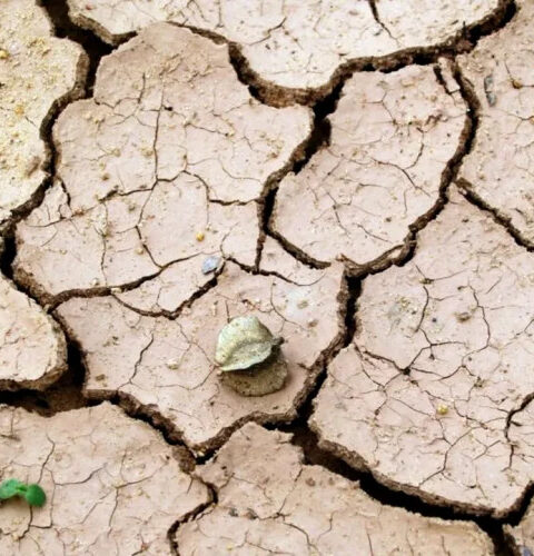 Засуха в Турции: власти вводят ограничения для местных жителей, туристам вода доступна