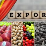 Агентство по инвестициям представило стратегические исследования для поддержки экспорта Молдовы