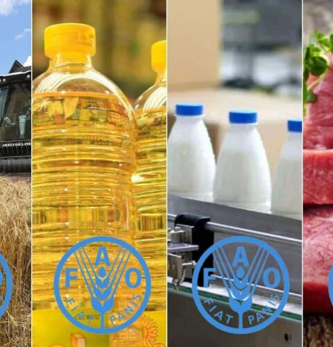 Цены на мясо и растительные масла достигают рекордных уровней в августе 2025 года