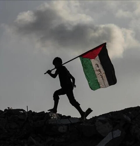 Франция и 11 стран создали коалицию для финансовой поддержки Палестинской автономии