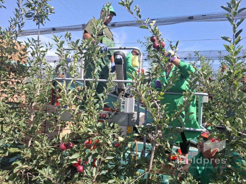 Государство Молдова инвестирует более 253 миллионов леев в модернизацию сельского хозяйства для поддержки фермеров