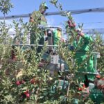 Государство Молдова инвестирует более 253 миллионов леев в модернизацию сельского хозяйства для поддержки фермеров