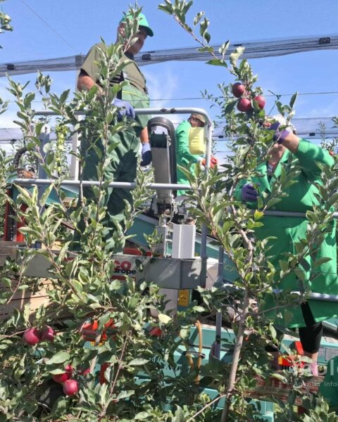 Государство Молдова инвестирует более 253 миллионов леев в модернизацию сельского хозяйства для поддержки фермеров