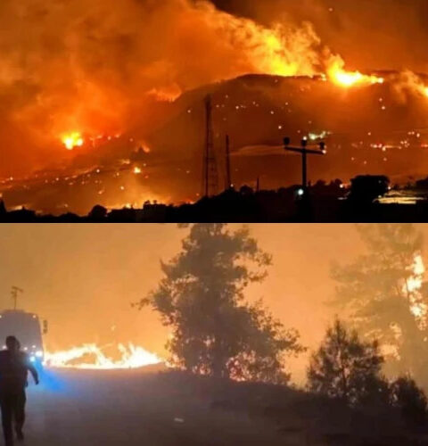 Лесные пожары охватили турецкие провинции Анталья и Мугла, эвакуация жителей продолжается