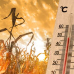 Лето 2025: экономический ущерб от климатических явлений в Европе достиг 43 миллиардов евро