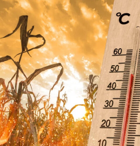 Лето 2025: экономический ущерб от климатических явлений в Европе достиг 43 миллиардов евро